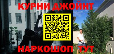 молекула духа Партизанск