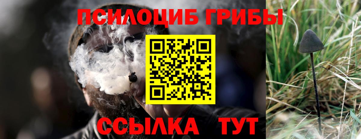 Псилоцибиновые грибы GOLDEN TEACHER  Вход с VPN  дарнет шоп  Тавда 