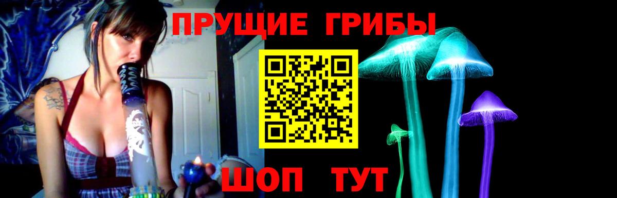 Псилоцибиновые грибы Psilocybe Тавда